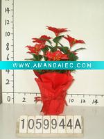 Wholesale Christmas flower pot