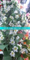 Wholesale Artificial flower/artificial plant--pendulous artificial flower arrangement belt--fence decorative