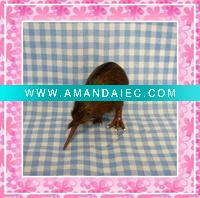 Wholesale love bird ornament