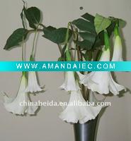 Wholesale beautiful artificial PU flower