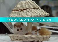 toy baby kitten, fur animals gifts, animal design for rabbit