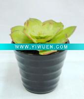 Wholesale small artificial plants (Item NO.KHP347)