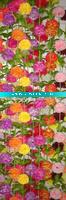 Wholesale vivid artificial silk flowers(6266)
