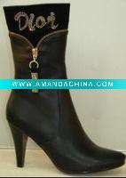 Wholesale 2010 sexy boot /lady boot/ shoes