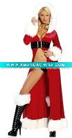 Winter Fantasy Costume