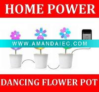 Wholesale music dancing flower toy---- voice box
