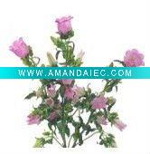 Wholesale holiday decoration flower,high quality, reasonable price, convenience transport ion, best service