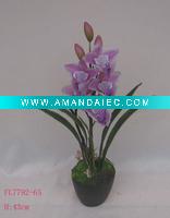 Wholesale gift flower