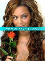 Wholesale 100% human hair wigs