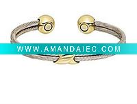 Wholesale Fashion Titanium Bangle