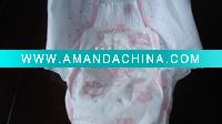 Wholesale good quality dosposable baby diaper