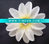 Wholesale 2010 fashion hair flower
