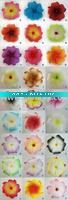 Wholesale Hawaiian Plumeria Foam Flower Hair Clip