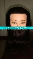 Wholesale hair mannequin ,teaching head