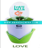 Wholesale Flower-sparkle Night Light