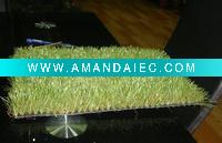 Wholesale hot artificial grass