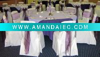 Elegance Wedding Chair Cover XY62