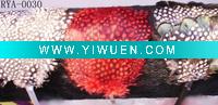 Wholesale Feather headband (RYA-0030)