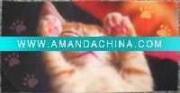 Wholesale photo printed non-woven polyster mats