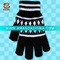 Wholesale winter gloves NLKG(534)
