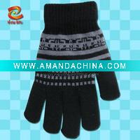 Wholesale winter gloves NLKG(533)