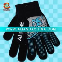 Wholesale men's winter gloves,waterproof winter gloves,mens winter gloves,NLKG(512)