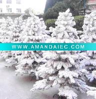 Wholesale christmas tree cedar