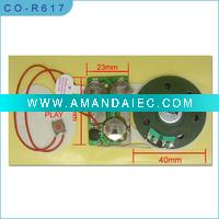 Wholesale push button Voice Module