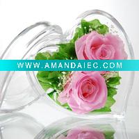 Wholesale 2011 best selling items wedding favors gifts