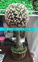 Wholesale artificial christmas decoration tree plant potted boxwood topiary ball bonsai with flower