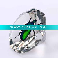 Wholesale Unique gifts--Real Green rose chafer