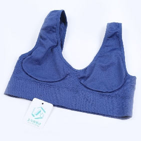Sexy Plain Lingerie Nylon / Spandex Bra Dark Biue Color Lady's Underwear