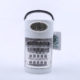 Wholesale LED Wall Hanging lamp Hand-held Lamp Battery Power Indoor/Outdoor Light