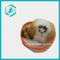 Beautiful Home Decor Good Texture Dog In The Plastic Basket