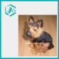 Wholesale Great Home Decor Large Size Dog With Shape Eyes