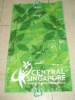 leisure pp woven beach mat