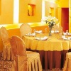 Wholesale hotel chair cover