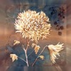 Wholesale white flower oil painting(yy-fb-40x40cm(52)
