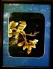 100% Handmade Traditional Chinese Painting Made of Wheat Straw