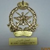 Wholesale Metal Commemorative badges/medal