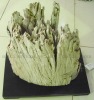 Wholesale drift wood with base