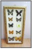 Wholesale 2011 Wooden photo frame