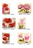 Wholesale Flowers oil canvas prints