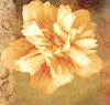 Wholesale Folwer oil painting