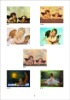 Wholesale Giclee Painting,Printing Oil Painting