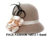 Wholesale 100%wool lady hat