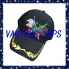 Wholesale Baseball caps,Sports caps