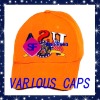 Wholesale Baseball caps,Sports caps,promotion caps