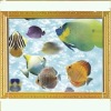 Wholesale (B-8)3D painting with frame