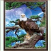 Wholesale (A-6)3D picture with frame